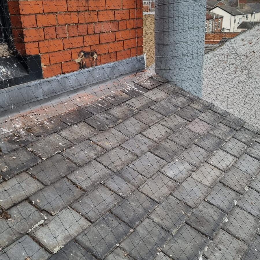 Pigeon Netting at the Gurdwara