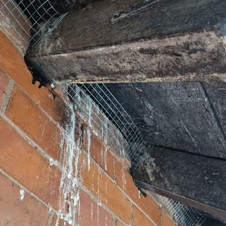 Bird Proofing Using Mesh