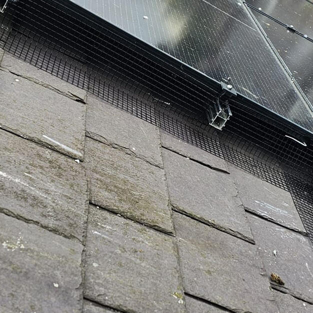 Pigeon Proofing Solar Panels in Oakham