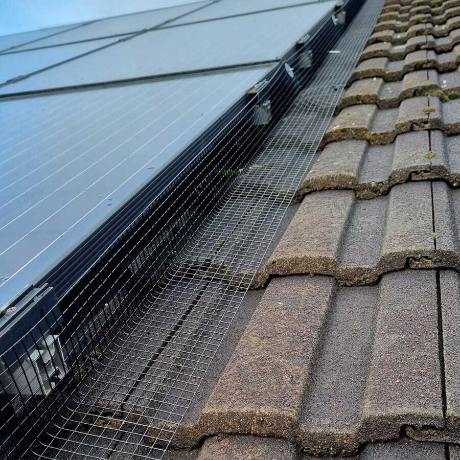 Solar Panel Pigeon Proofing in All Weathers