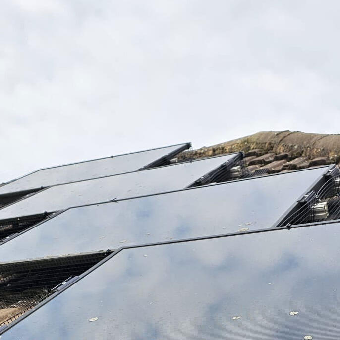 Pigeon Proofing Solar Panels in Birmingham