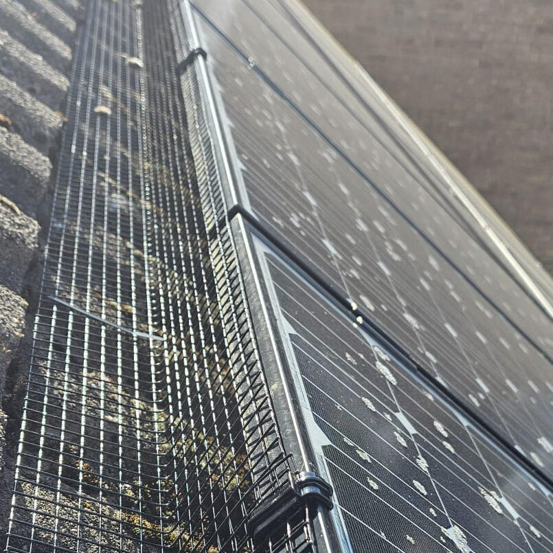 Protecting Solar Panels From Pigeons in Blidworth