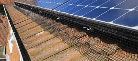 Pigeon Proofing Solar Panels in Borrowash