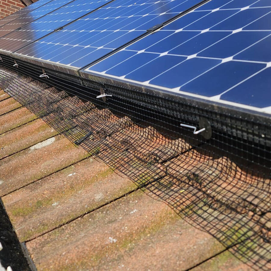 Pigeon Proofing Solar Panels in Borrowash