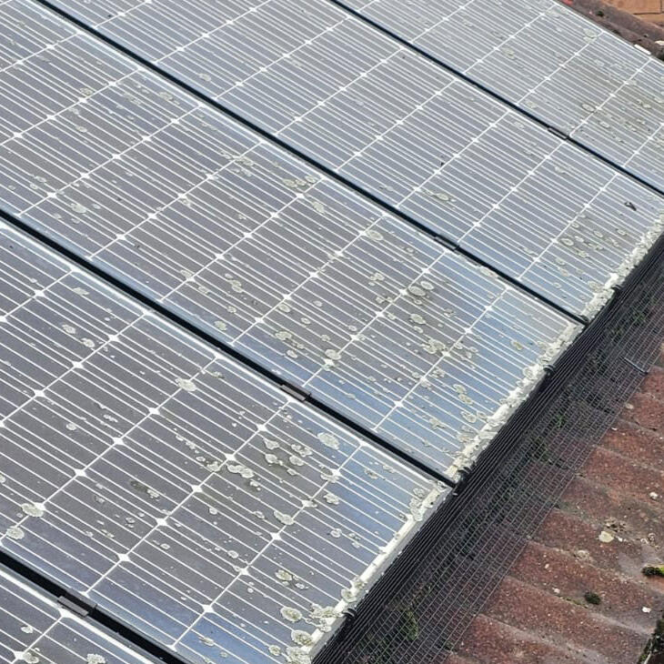 Pigeon Proofing Solar Panels in Borrowash