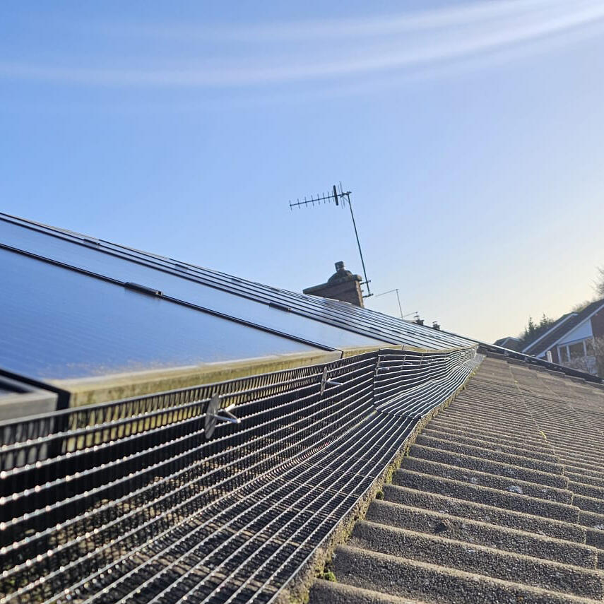 Pigeon Proofing Solar Panels in Bramcote