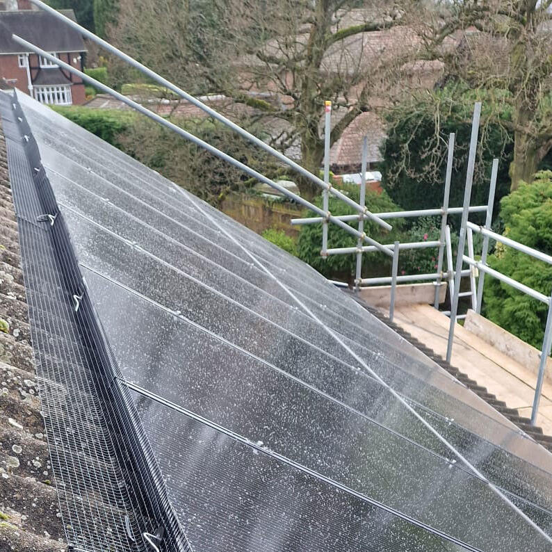 Pigeons Make a Home Under Solar Panels in Bramcote