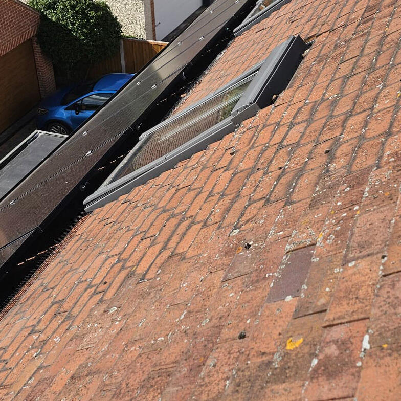 Protecting Solar Panels From Pigeons in Breaston