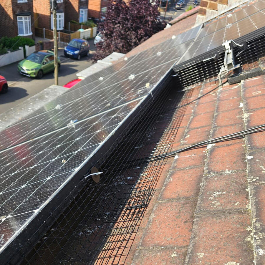 Solar Panels Protected From Pigeons in Bulwell