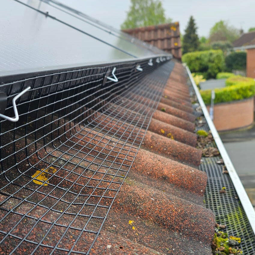Protecting Solar Panels From Pigeons in Hinckley
