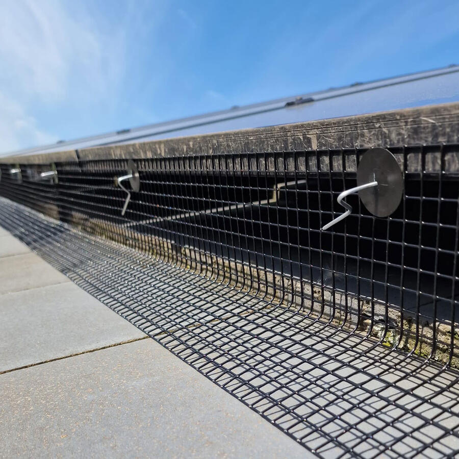 New Build Solar Panels Attract Pigeons in Burton Joyce