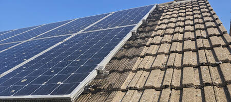 Protecting Solar Panels From Pigeons in Calverton