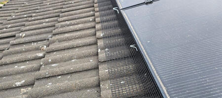 Protecting Solar Panels From Nesting Pigeons in Carlton