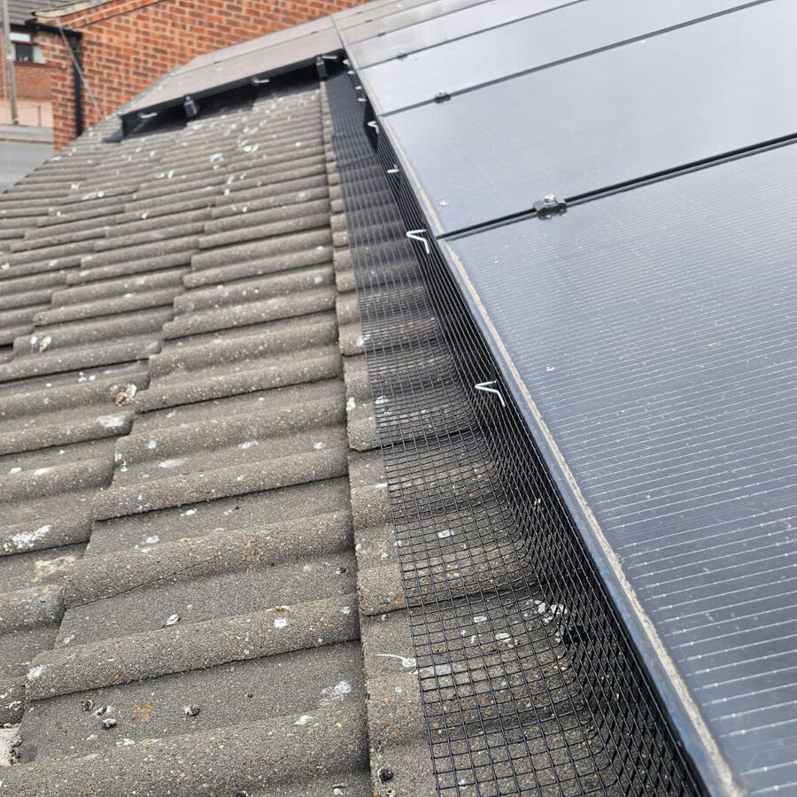 Protecting Solar Panels From Nesting Pigeons in Carlton