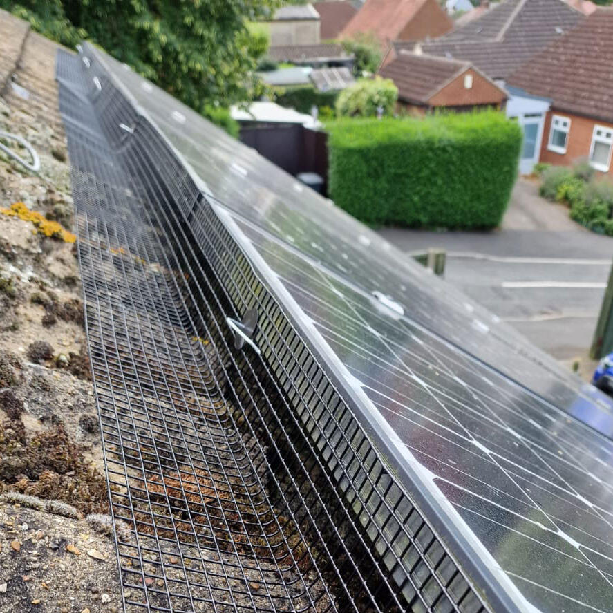 Protecting Solar Panels from Pigeons in Carlton