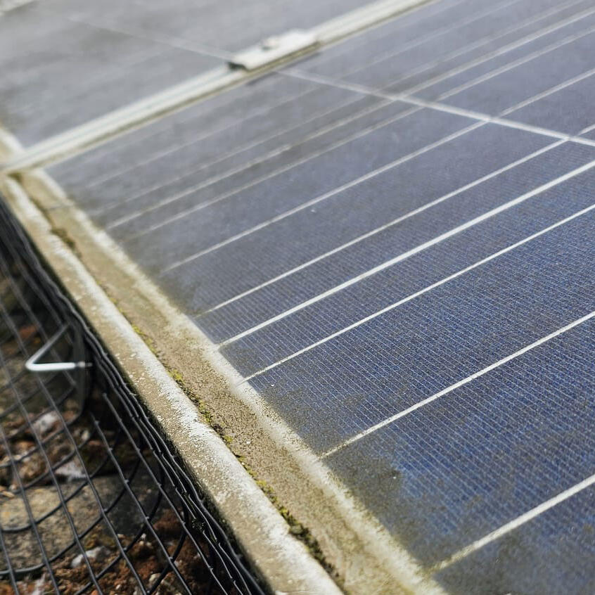 Solar Panels Protected From Pigeons in Chellaston