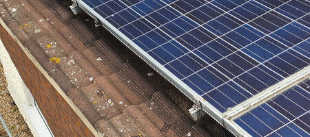 Protecting Solar Panels From Pigeons in Chilwell