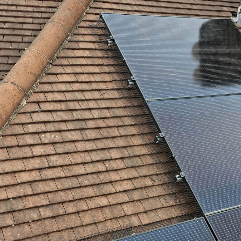 Protecting Solar Panels From Pigeons in Chilwell