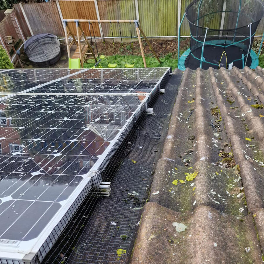 Pigeons Under Solar Panels in Colwick