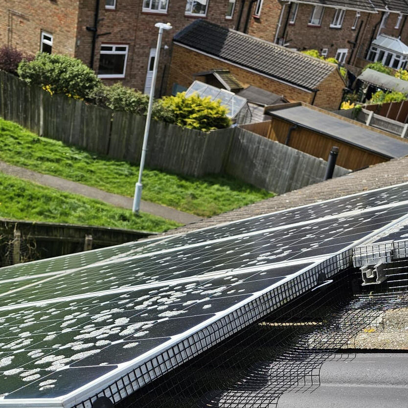 Pigeon Proofing Solar Panels in Cotgrave