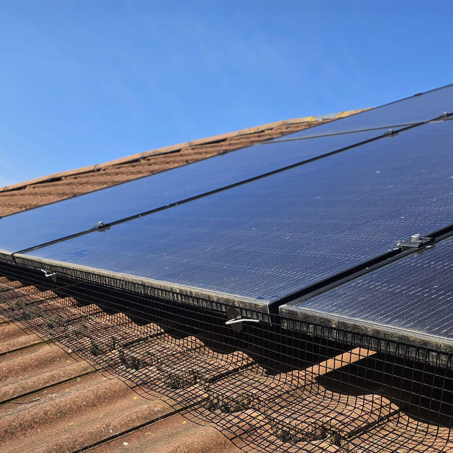 Protecting Solar Panels from Pigeons in Cotgrave