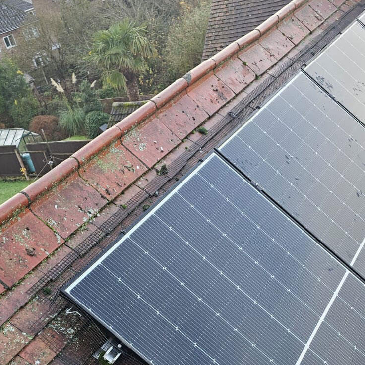 Pigeon Proofing Solar Panels in Derby
