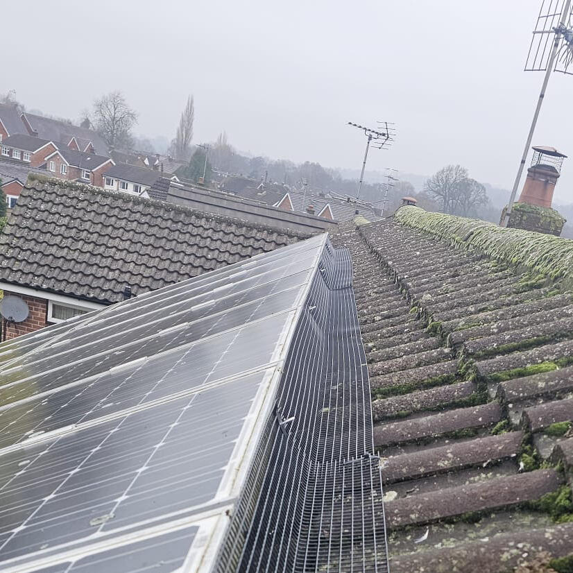 Preventing Pigeons From Nesting Under Solar Panels in Duffield