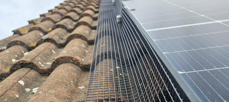 Protecting Solar Panels From Pigeons in East Leake