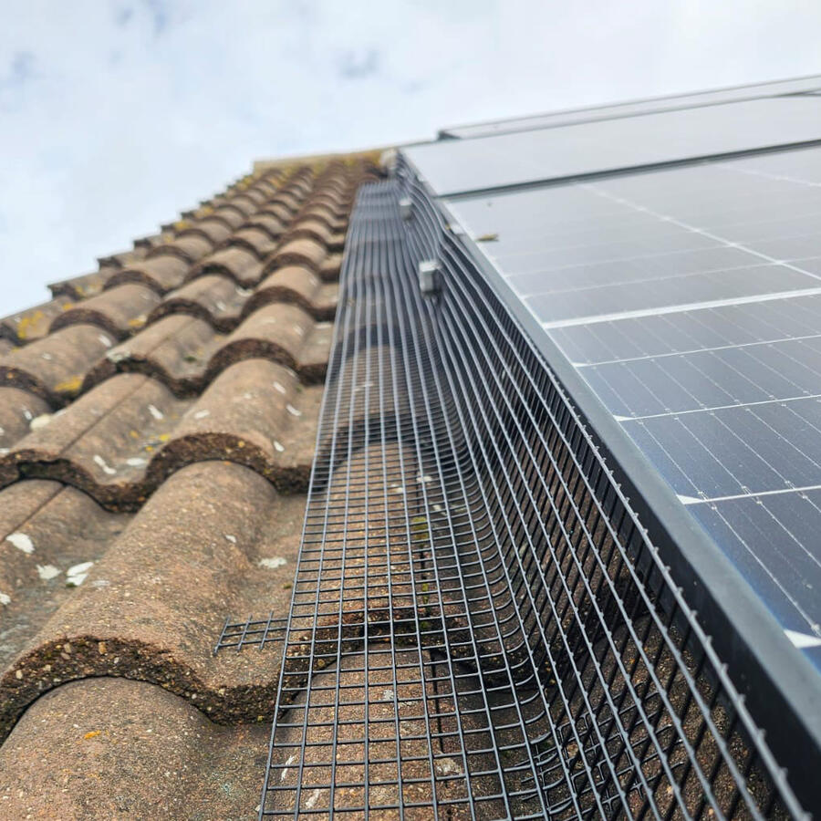 Protecting Solar Panels From Pigeons in East Leake