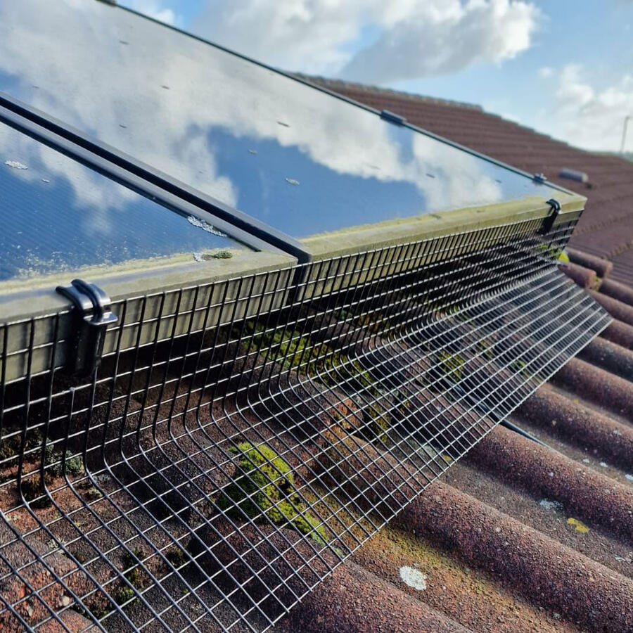 Protecting Solar Panels from Pigeons in Eastwood
