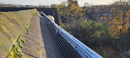 Protecting Solar Panels From Pigeons in Gamston