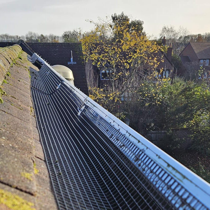 Protecting Solar Panels From Pigeons in Gamston
