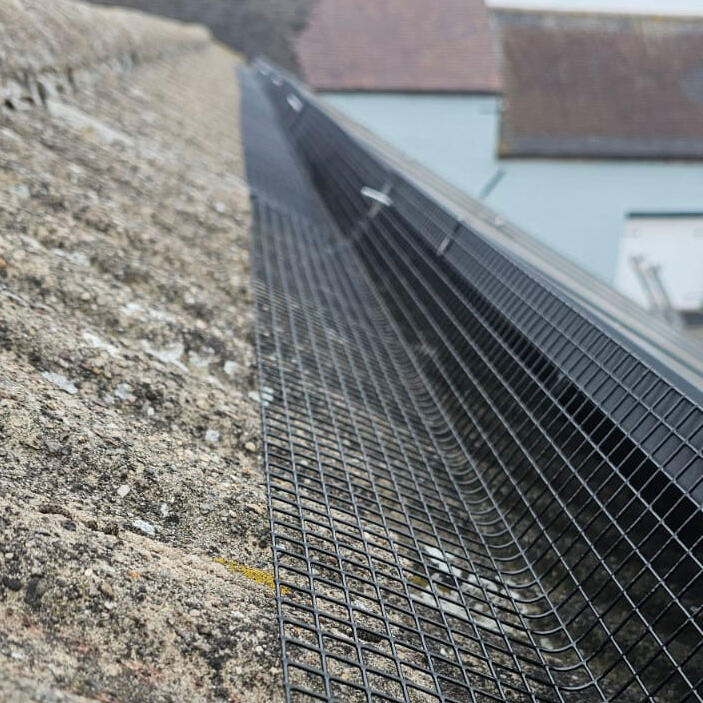 Protecting Solar Panels From Pigeons In Gotham