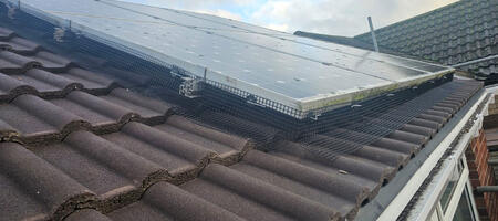 Pigeon Proofing Solar Panels in Grantham