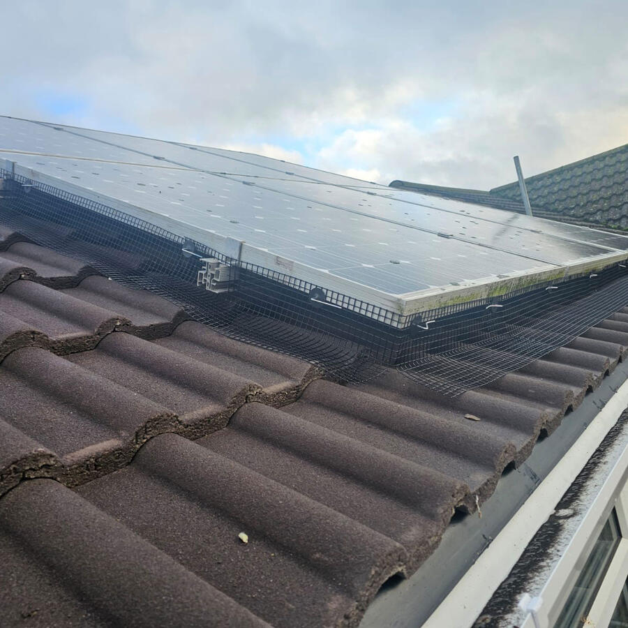 Pigeon Proofing Solar Panels in Grantham