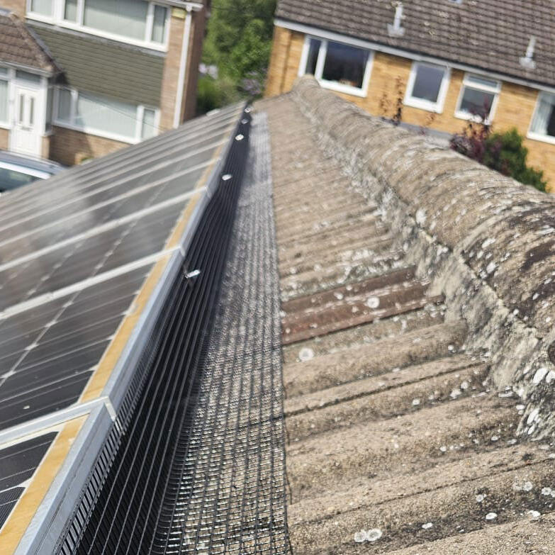 Protecting Solar Panels From Pigeons in Grantham