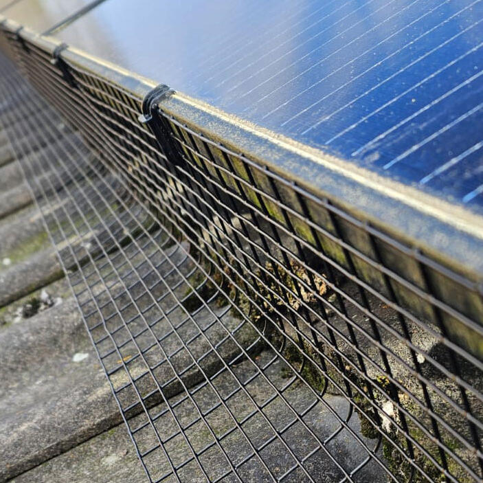 Protecting Solar Panels From Pigeons in Hucknall