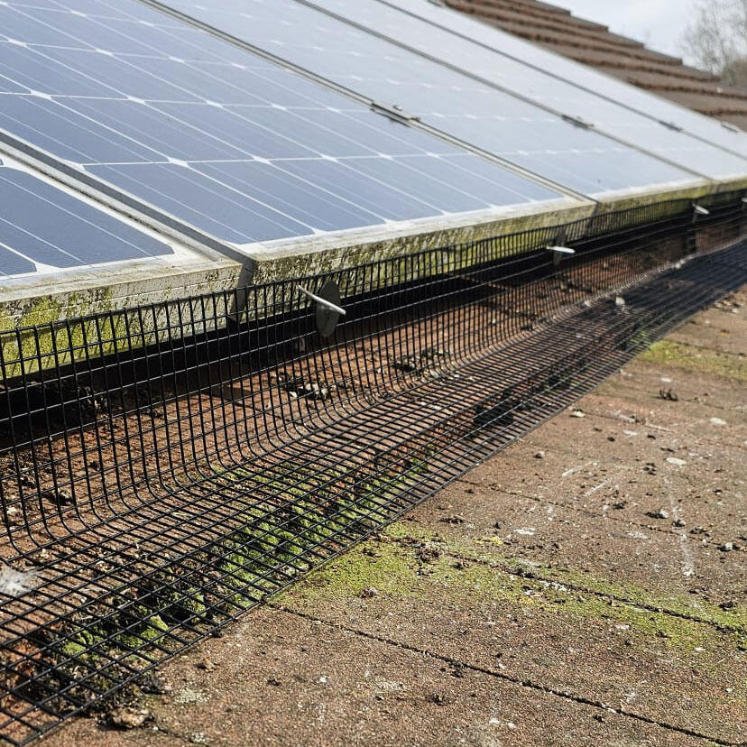Pigeon Proofing Solar Panels in Hucknall