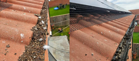 Preventing Pigeons From Nesting Under Solar Panels in Hucknall