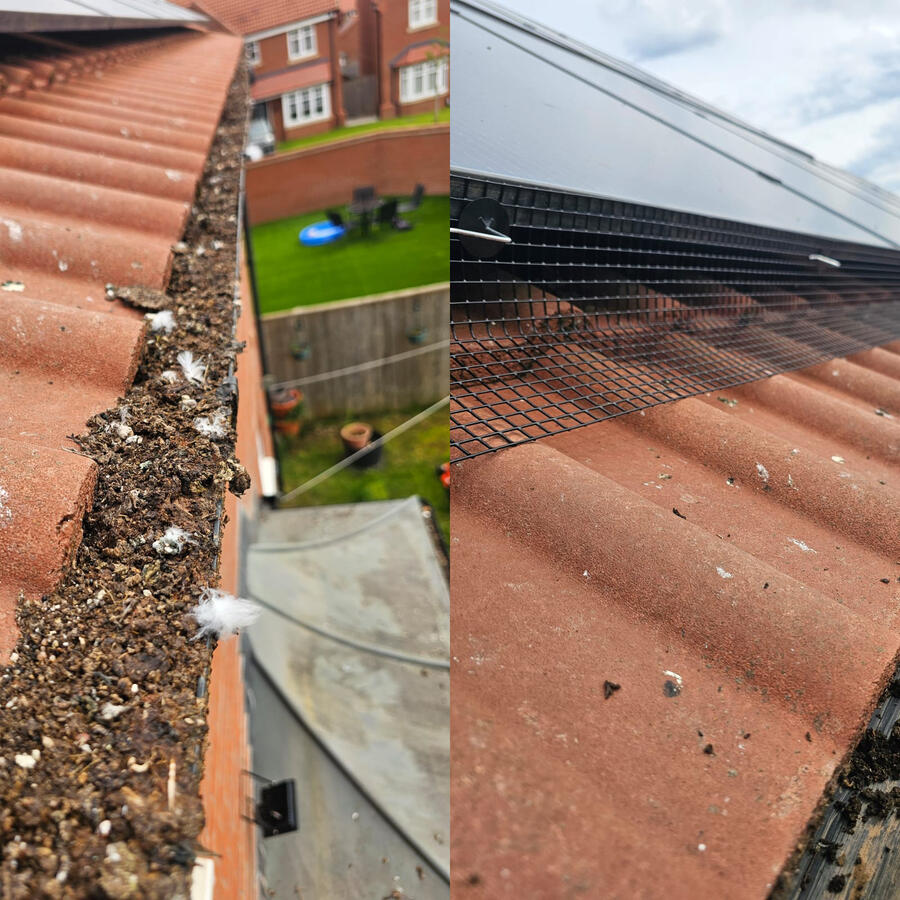 Preventing Pigeons From Nesting Under Solar Panels in Hucknall