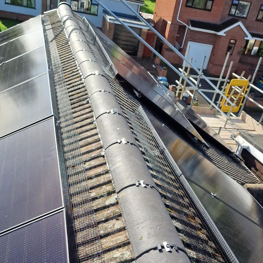 Jackdaws Trying to Nest Under Solar Panels