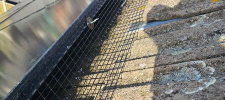 Protecting Solar Panels From Pigeons in Keyworth