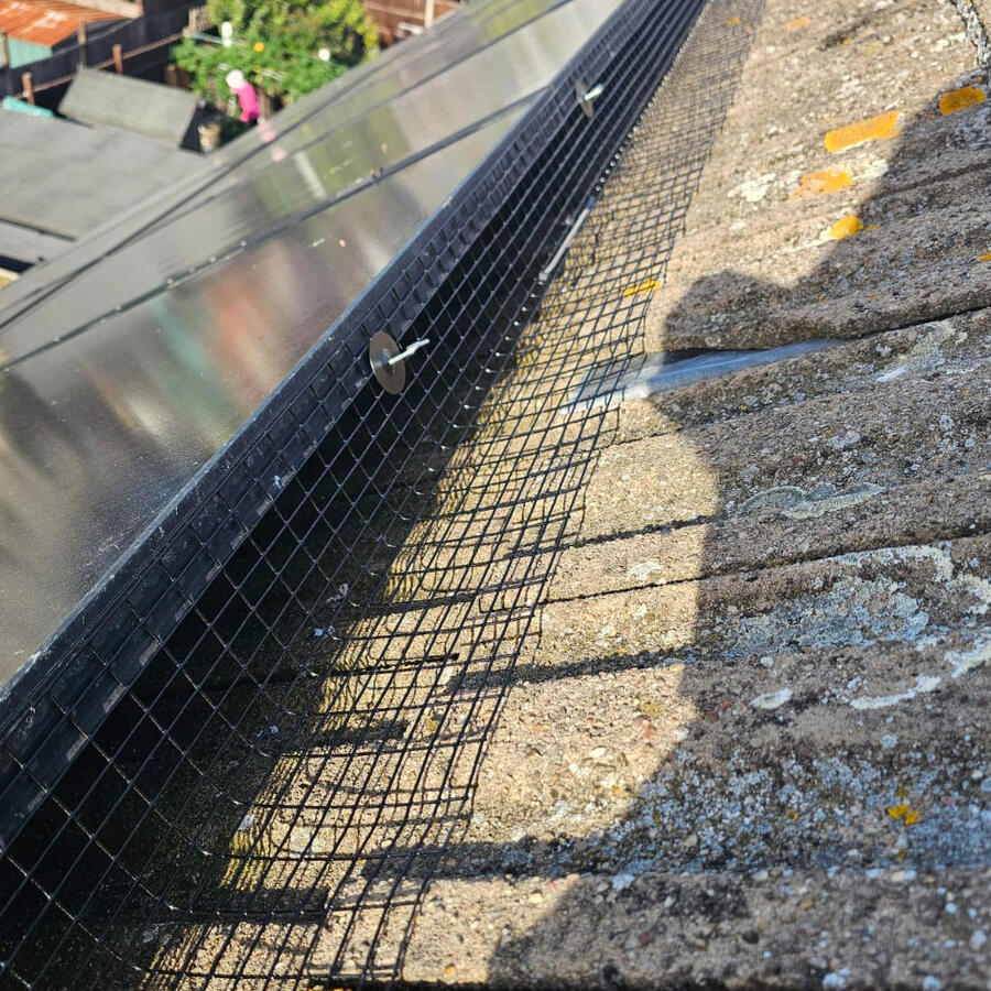 Protecting Solar Panels From Pigeons in Keyworth