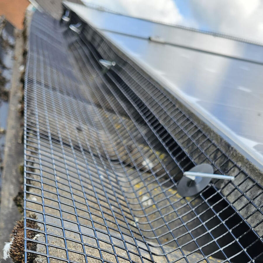 Protecting Solar Panels from Pigeons in Kirkby-in-Ashfield