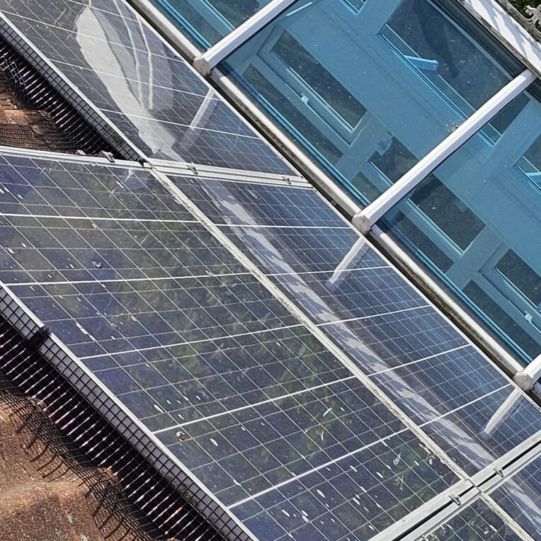 Protecting Solar Panels From Pigeons In Lambley