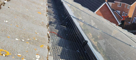 Pigeon Proofing Solar Panels on a 3 Storey House in Leicester