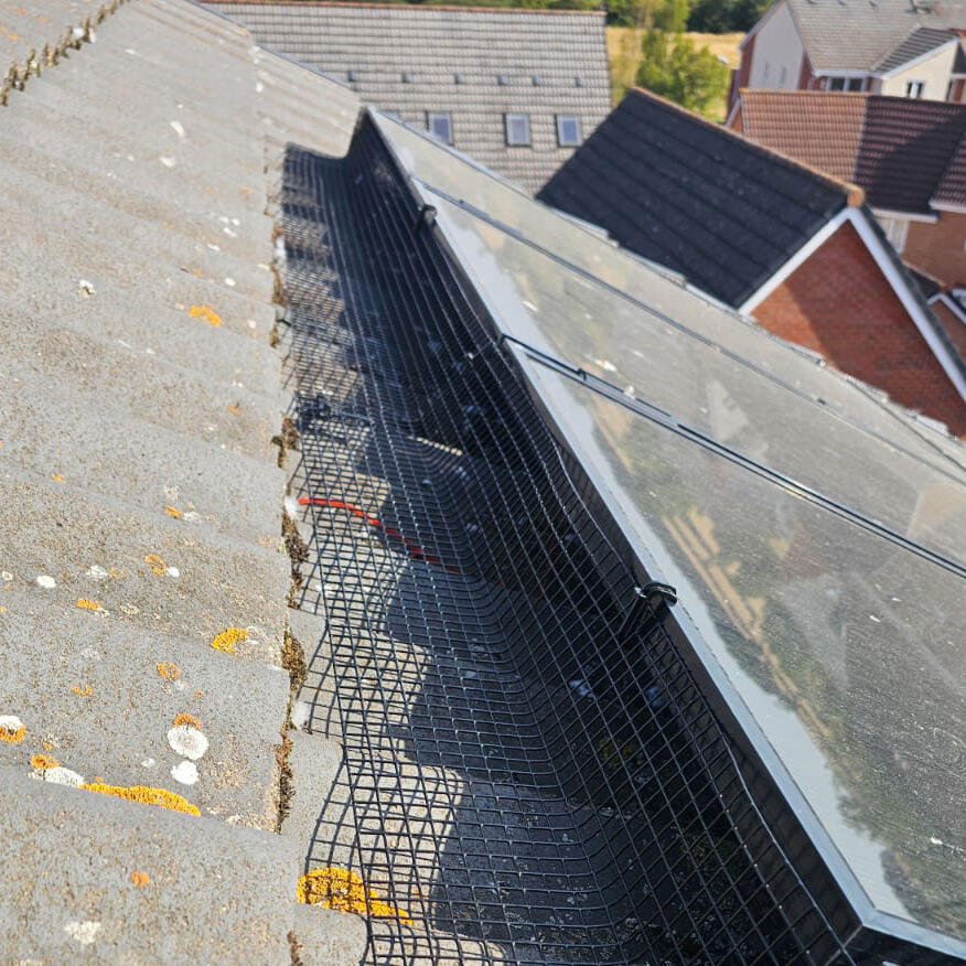 Pigeon Proofing Solar Panels on a 3 Storey House in Leicester