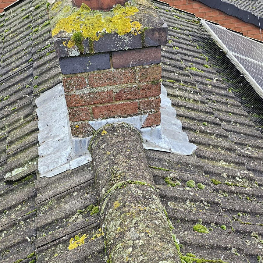 Protecting Solar Panels From Pigeons in Leicester