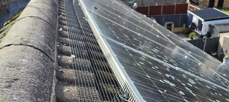 Pigeon Proofing Solar Panels in Leicester