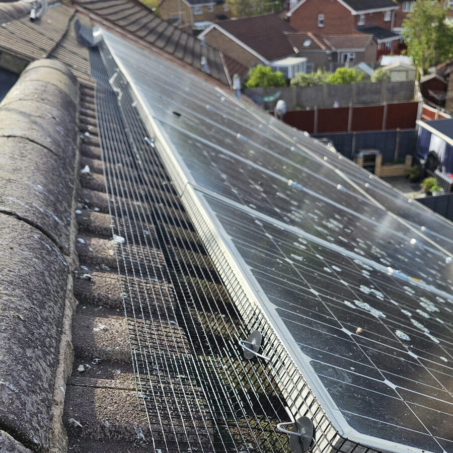 Pigeon Proofing Solar Panels in Leicester